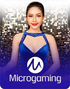 AP33 casino provider: microgaming